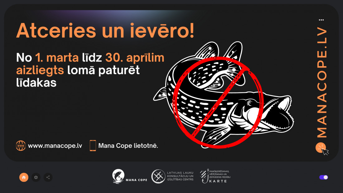 1709210124_rlGWibO4.jpeg